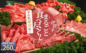 【月3×6回　計18回発送】肉の横綱　伊賀牛まるごと食べ尽くし cook-tkb0004