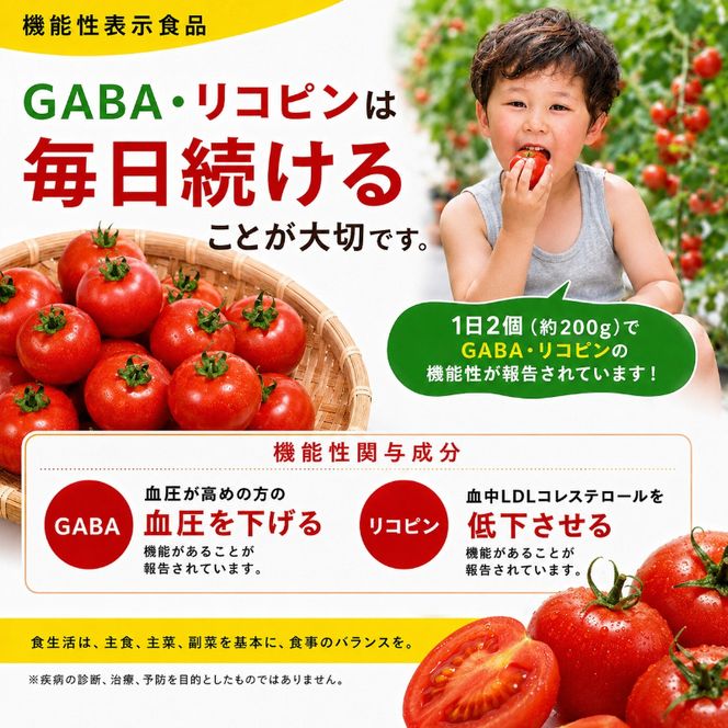 機能性表示食品 Hapitoma ハピトマ 糖度6（1kg）【配送不可：北海道・沖縄・離島】健康 ヘルシー GABA リコピン 人気 厳選 袋井市 野菜 トマト ミニトマト とまと 