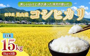 岐阜県美山産コシヒカリ 令和8年産 新米 15kg| 令和8年 米 精米 白米 お米 コシヒカリ こしひかり ツヤ 粘り 甘み ヤマガタ農産 ※2026年11月～発送