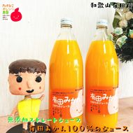 有田 みかん 100％の ジュース 1,000ml×2本