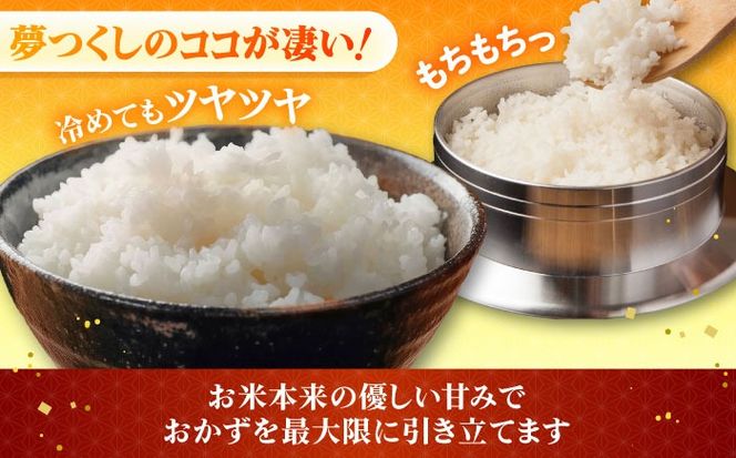 令和7年産 精米 夢つくし 3kg【ナガノノウエン】/築上町[ABEW002]