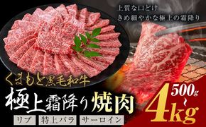 黒毛和牛 極上霜降り リブ サーロイン 特上バラ 焼肉 500g 1kg 2kg 4kg《30営業日以内に出荷予定(土日祝除く)》熊本県 氷川町 牛 牛肉 和牛 ブランド牛---hkw_26_lcl_429_500g---