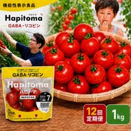 【12ヶ月定期便】機能性表示食品 Hapitoma ハピトマ 糖度7（1kg）【配送不可：北海道・沖縄・離島】健康 ヘルシー GABA リコピン 人気 厳選 袋井市 野菜 トマト ミニトマト とまと 12回 1年 