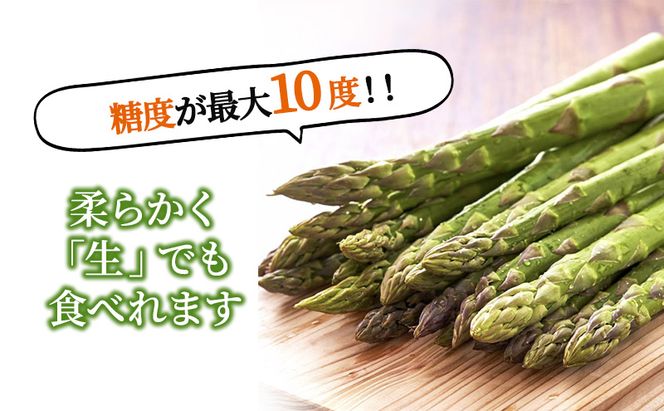 【2026年春発送】極太 グリーンアスパラ 2Lサイズ 1kg (スイートベジタブルファクトリー)
