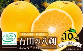 【2027年先行予約】和歌山県産 有田の八朔 (はっさく) 約10kg【2Lサイズ】まごころ手選別 _ZE6076n