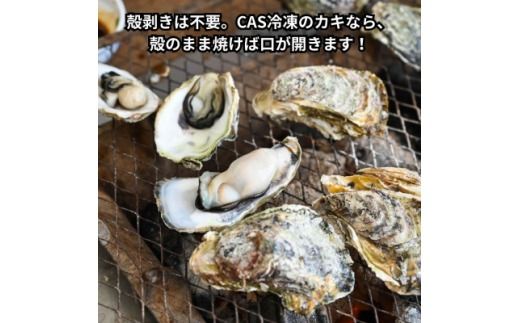 岩ガキ20コ(約2kg分)海鮮バーベキューBBQに!CAS冷凍