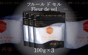 ［ 丹後絹塩 公式 ］ 天然塩 フルールドセル 【 希少な大粒の 塩 平釜製法 の 自然塩 】 おにぎりにも ミネラルたっぷり 京丹後 夕日ヶ浦の 海水塩 フルール・ド・タンゴ（丹後の花）100g（3袋セット） 天然塩 自然塩 海水塩 フルールドセル 平釜製法 ミネラル 調味料 塩の花　TU00010