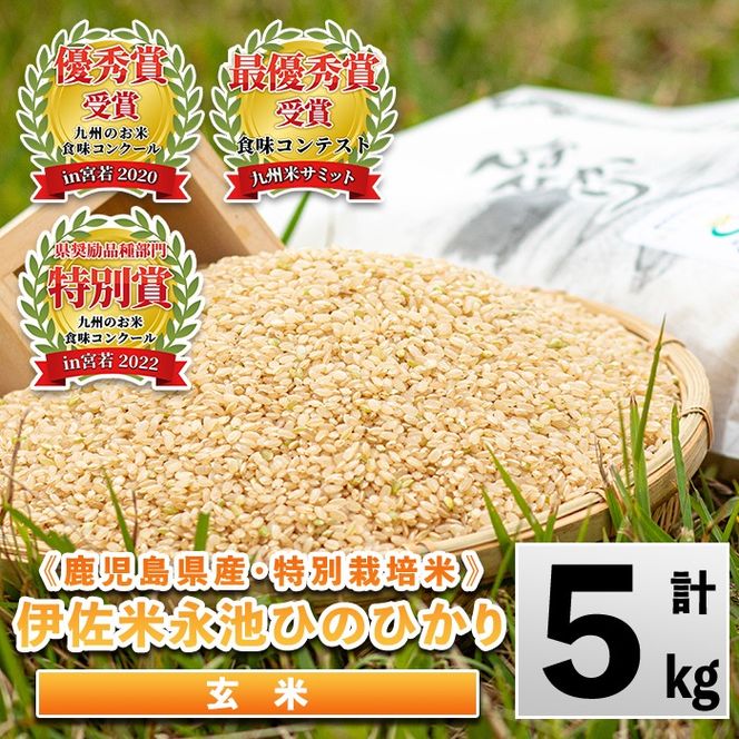 isa400 令和7年産 特別栽培米 永池ひのひかり玄米(5kg) 鹿児島 永池 お米 米 玄米 伊佐米 九州米サミット 食味コンテスト 最優秀賞受賞 ヒノヒカリ 【エコファーム永池】