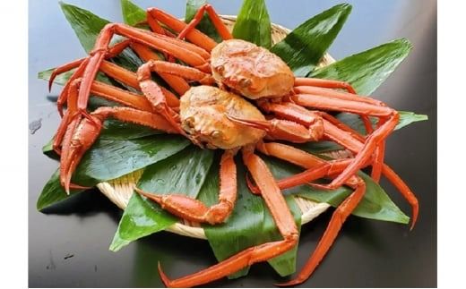 【冷蔵・ボイル済】魚卸問屋のベニズワイガニ 900g級以上×2杯｜はりたや 魚貝類 魚介類 海鮮 ずわい蟹 ずわいガニ 紅ズワイガニ 大きい セット 濃厚かにみそ 蟹しゃぶ 蟹飯 カニ鍋 人気 豪華 お取り寄せ 北陸 富山県 富山湾 魚津市 送料無料 ※2025年9月下旬～2026年5月下旬頃に順次発送予定 ※北海道・沖縄・離島への配送不可