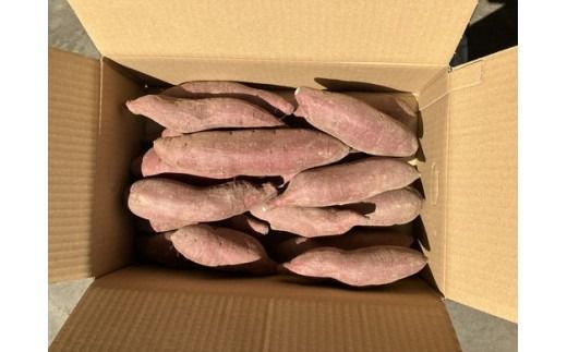 さつまいも（シルクスイート）5kg｜茨城県常総市産 さつまいも サツマイモ お芋 芋 スイーツ ポテト  有機栽培　野菜　国産 ※2025年12月中旬～2026年3月中旬頃に順次発送予定