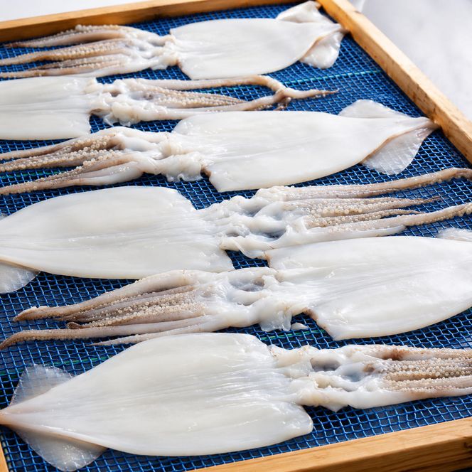 【3ヵ月毎定期便 全4回】日本海産　柔らか肉厚のスルメイカ一夜干し(大)3枚　 魚貝類 イカ いか スルメイカ お酒 つまみ 特大 新鮮 保存 冷凍 国産 酒の肴 酒のつまみ myz02 myz10 myz11 myz17