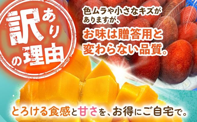 【優秀賞受賞】沖縄県産 完熟マンゴー 訳アリ 2kg (3〜5玉) マンゴー 沖縄 果物 フルーツ ギフト 沖縄市 / MAIFARM[BCAN004]