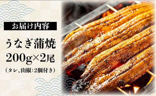 D-632-PE 上峰町産うなぎ200g×2尾