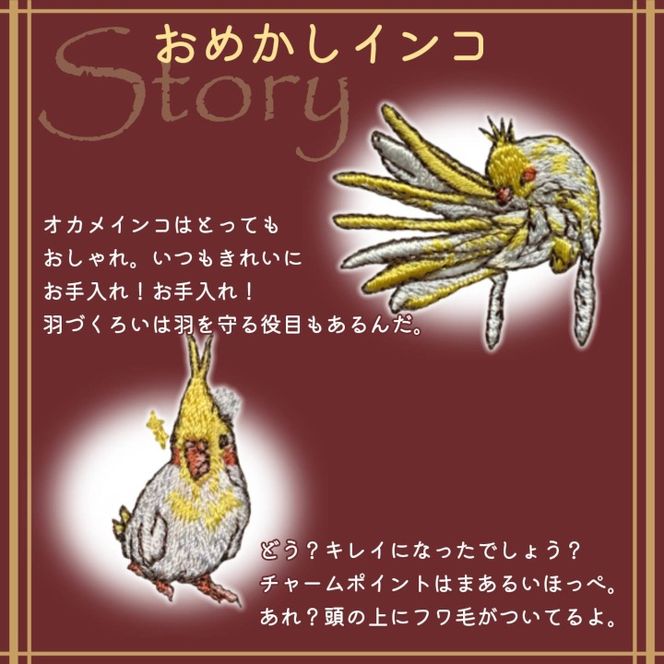 おはなし靴下 ギフトボックス オカメインコ レディース ブラック