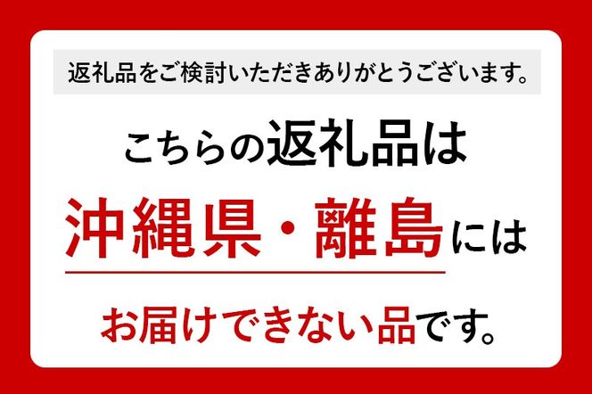 【男鹿ぶるーべりーガーデン】 冷凍ブルーベリー 250g×2パック（合計500g）秋田県 男鹿市|23_sea-020501