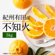 【2027年先行予約】不知火 5kg デコポン 柑橘の王様 甘い プリプリ ジューシー 濃厚 フルーツ 果実 果物 柑橘 紀州有田産 国産 食品 食べ物 お取り寄せ 魚鶴商店 和歌山県 湯浅町 送料無料_G7356