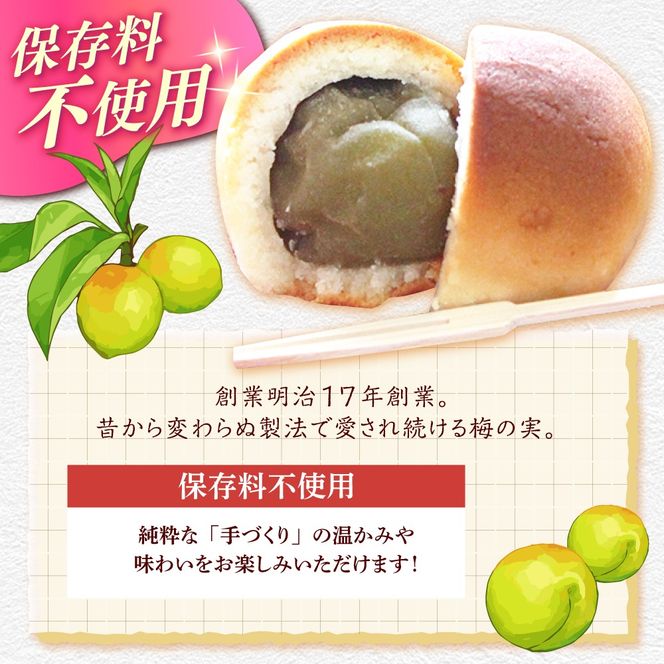 【老舗の菓子屋 鹿の子】築上銘菓「 梅の実 」15個《築上町》【有限会社　御菓子司　鹿の子】 [ABAC004]