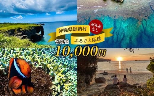 【返礼品なし】沖縄県恩納村ふるさと応援寄附金 10000円