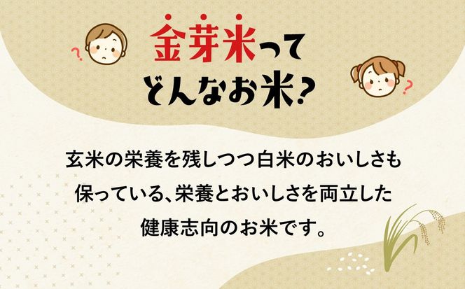 【 定期便6回 】令和7年 宮城県産 金芽米 ひとめぼれ 計30kg ( 5kg×6回 )   [ 宮城県 加美町 km-my-knm05-t6-r7 ]  お米 こめ コメ 精米 白米 きんめまい おすすめ 新米 ナカリ タカラ米穀 パワーライス カメイ 新生活応援 美味しい こだわり