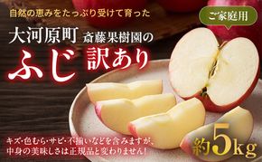 りんご ふじ 訳あり 5kg 果物 フルーツ わけあり 不揃い 規格外 ご家庭用 宮城県 大河原町 産地直送 林檎 リンゴ くだもの 先行予約 送料無料