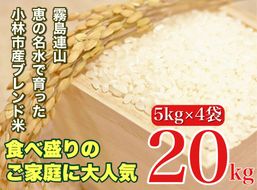 【生活応援米】湧水で育った小林市産ブレンド米 20kg（5kg×4袋 お米 米 ブレンド米 白米 精米 家庭用）