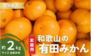 【12月発送】  ご家庭用 有田みかん 和歌山 S～Lサイズ 大きさお任せ 2kg  / みかん フルーツ 果物 くだもの 有田みかん 蜜柑 柑橘【ktn005-12】