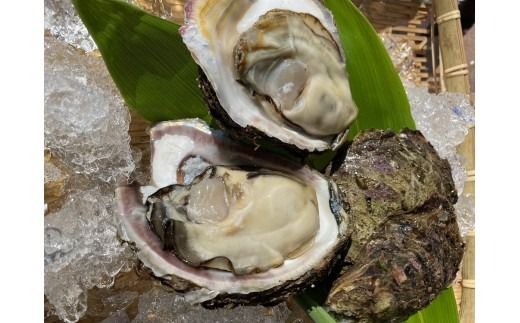 【期間限定】新鮮！笹川流れ『天然岩牡蠣』 Lサイズ 約1kgセット（1個 200g～250g×4～5個） 1043003