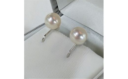 500-15伊勢志摩あこや本真珠イヤリング9mm花珠(真珠科学研究所鑑別書)