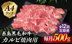 【全12回定期便】【焼肉用】A4ランク 糸島 黒毛和牛 カルビ 500g 糸島市 / 糸島ミートデリ工房 [ACA295] 博多 和牛 焼肉 焼き肉 バーベキュー BBQ 赤身 国産 キャンプ アウトドア