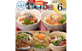【6回定期便】訳あり土佐の海鮮漬け丼（5種×各1袋）セット 漬け丼の素 タイ 鯛 ブリ 鰤 マグロ 鮪 イカ カツオ 鰹 たたき 新鮮 魚 おかず おつまみ 惣菜 小分け【企業組合　宇佐もん工房】 [BQAB012]