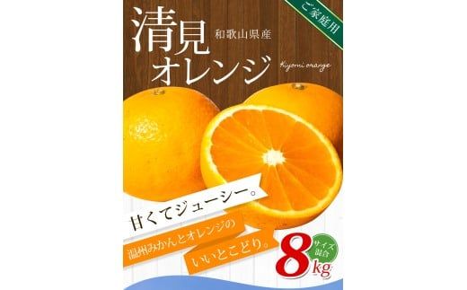【ご家庭用】手選別 清見オレンジ 約8kg 和歌山県産 2S~2Lサイズ混合※2026年2月上旬～5月中旬頃に順次発送【mrmt048】