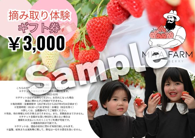 【先行受付】MIYA FARM いちごお持ち帰りギフト券 3,000円分 ※2026年12月～発送