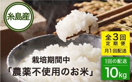 【全3回(月1回)定期便】栽培期間中 農薬不使用のお米 ヒノヒカリ 10kg 糸島市 シーブ [AHC044] お米 10kg 送料無料 ギフト 10キロ 無農薬 栽培期間中 米 定期便
