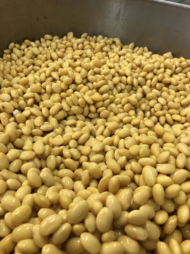 続ける美豆乳7袋＋たま豆腐2球 無調整 成分無調整 朝 国産大豆 健康 タンパク質 栄養 soy milk ソイミルク 小分け 飲料 グルメ おすすめ お取り寄せ 京都 セット※北海道・沖縄・離島への配送不可