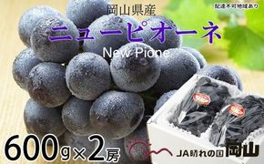 ぶどう 2026年 先行予約 ニュー ピオーネ 約600g×2房 6月下旬～7月下旬発送 ブドウ 葡萄 岡山県産 国産 フルーツ 果物 ギフト 果物類 種なし デザート 食後 おやつ 産地直送