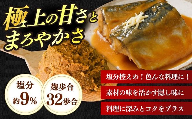 かみきい味噌 熟成こくうま味噌 750g × 4パック　《築上町》【上城井ふれあい協議会 味噌部会】 味噌 みそ[ABDK001]
