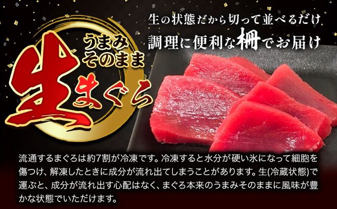 那智勝浦直送 天然生まぐろ 柵 500g 株式会社魚鶴商店《30日以内に出荷予定(土日祝除く)》和歌山県 日高川町 まぐろ 魚 マグロ 柵 海鮮 鮪 魚介 さかな---wshg_cuot72_30d_24_22000_500g---