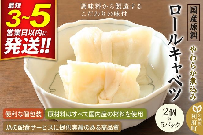 国産原料 やわらか煮込みロールキャベツ 2個×5パック [ぶた肉 ブタ肉 きゃべつ キャベツ とろとろ トロトロ]|06_kkm-310501