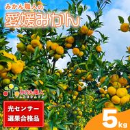 【先行予約】訳あり 愛媛みかん 5kg 人気 みかん 冬 秋 旬 厳選 光センサー選果 柑橘 かんきつ 果物 くだもの 国産 フルーツ スイーツ デザート ご褒美 みかん 蜜柑 大小 サイズ ミックス 不揃い 傷 温州 温州みかん 美味しい 農家直送 地場産品 こだわり みかん職人武田屋 愛媛県 愛南町