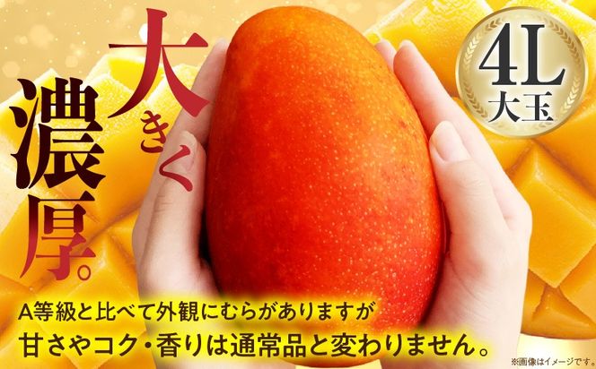 【2027年発送】【数量限定】宮崎県産 完熟マンゴー B等級 4Lサイズ×2玉（合計約1kg）_kn056-014