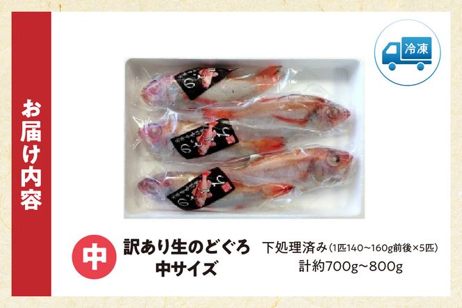 【兵庫県香住産 訳あり のどぐろ 処理済 中サイズ 5匹 約700～800g 冷凍】 日本海 香住 柴山 漁港 水揚げ 国産 ノドグロ 生冷凍 鮮度抜群 脂乗り 急速冷凍 産地直送 サイズ不揃い BBQ バーベキュー 焼き魚 煮付け 塩焼き 大人気 ふるさと納税 返礼品 おすすめ 兵庫県 香美町 宿院商店 33-30