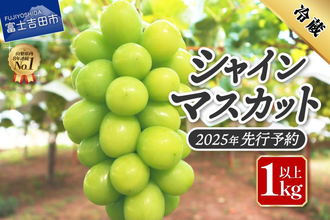 [2025年先行予約]ジューシーで甘さ抜群 厳選シャインマスカット1kg 数量限定 期間限定 シャインマスカット ぶどう シャイン フルーツ 果物 先行予約 山梨 富士吉田 マツコの知らない世界