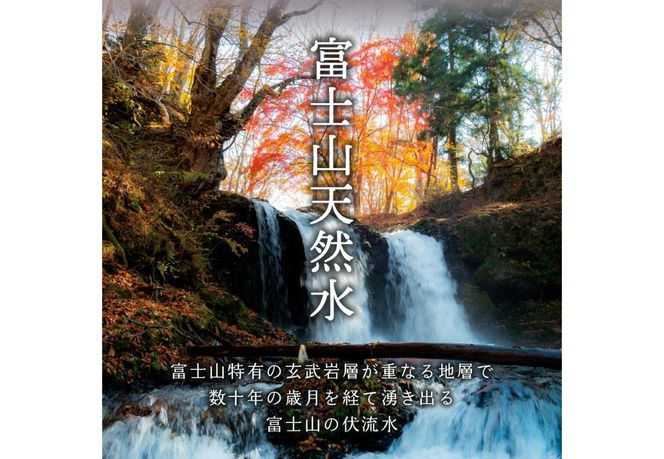 富士山ウィスキー梅酒　700ml 選べる本数 1本 2本 セット 酒 アルコール ウイスキー 梅酒 ロック ソーダ割 水割り お湯割り 山梨県 富士吉田