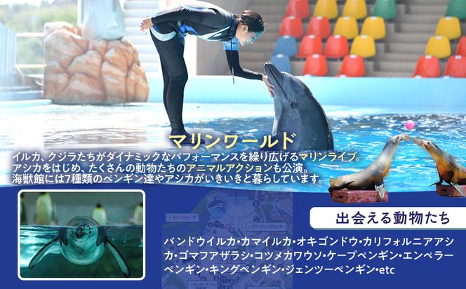 白浜町ふるさと納税 アドベンチャーワールド入園引換券 大人・子ども ペアチケット 304018_DU004