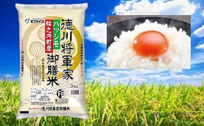 7年産 岐阜県産 ハツシモ（徳川将軍家御膳米）5kg