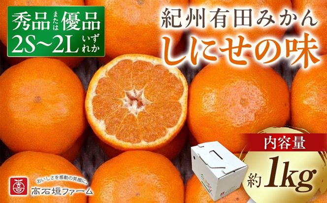 有田みかん しにせの味 約1kg 2S～2Lのいずれか 秀品または優品 K010