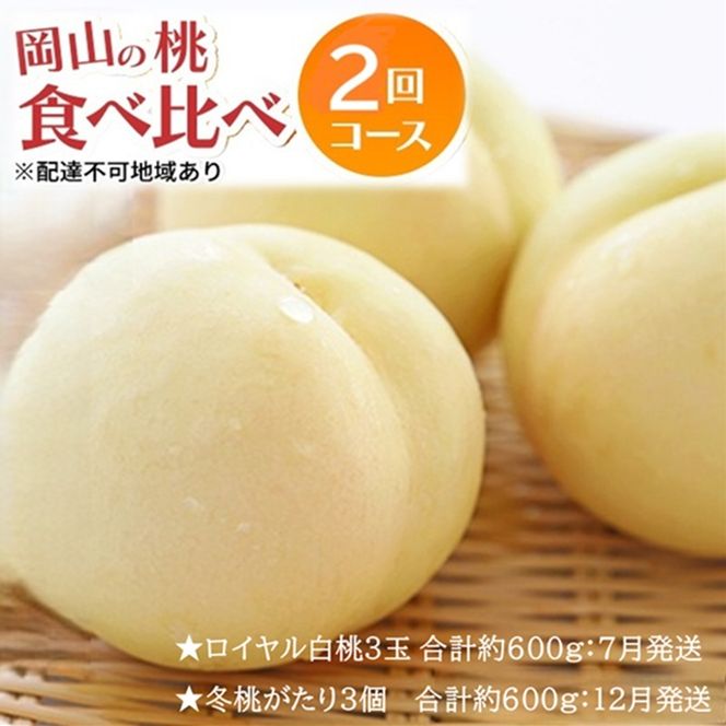 先行予約 晴れの国 岡山のフルーツ 定期便 2回コース 1回目ロイヤル白桃3玉 合計約600g／2回目冬桃がたり3個 合計約600g