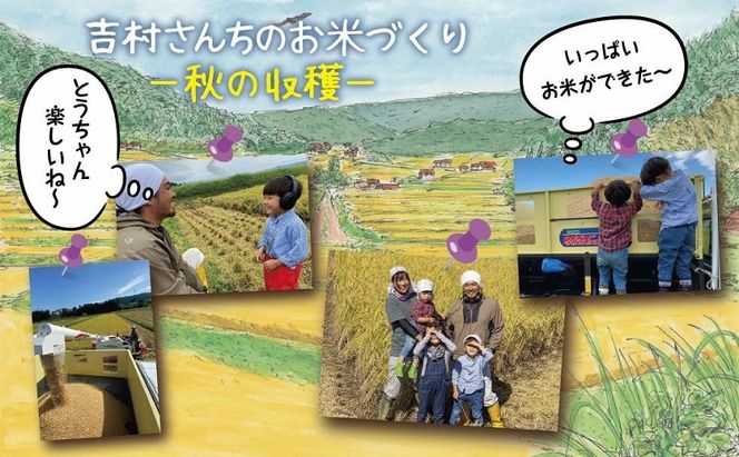 ｜従来品種｜ 魚沼産 コシヒカリ 30kg 米 こしひかり お米 コメ 新潟 魚沼 魚沼産 白米 送料無料 新潟県産 精米 産直 農家直送 お取り寄せ 吉村さんちのお米 新潟県 十日町市 モチモチ 安心 安全 