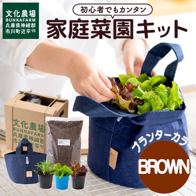 011BK02N.はじめての家庭菜園キット「サラダガーデン」（プランター色：ブラウン）