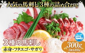 3種の馬刺し 赤身 フタエゴ サガリ 300g 各100g 醤油付き 5ml×2袋 南阿蘇食品《30日以内に出荷予定(土日祝除く)》熊本県 南阿蘇村 馬肉 馬刺し 熊本県産 国産---sms_fmassansyu_30d_24_15500_300g---